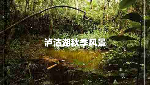 瀘沽湖秋季風(fēng)景