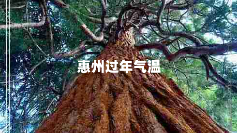 惠州過(guò)年氣溫