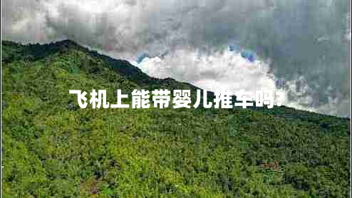 飛機上能帶嬰兒推車(chē)嗎?