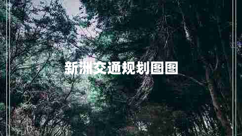 新洲交通規劃圖圖