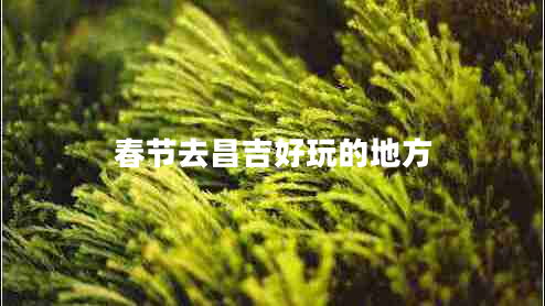 春節去昌吉好玩的地方