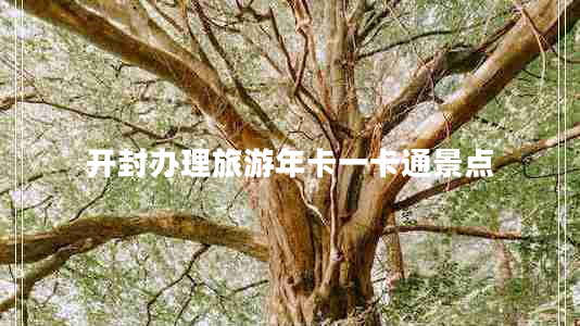 開(kāi)封辦理旅游年卡一卡通景點(diǎn)