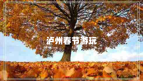 瀘州春節游玩