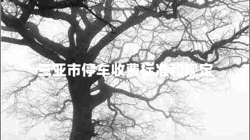 三亞市停車(chē)收費標準和規定