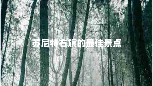 蘇尼特右旗的最佳景點(diǎn)