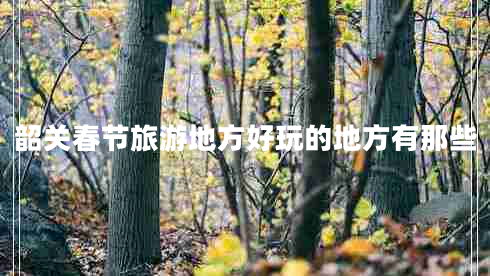 韶關(guān)春節旅游地方好玩的地方有那些