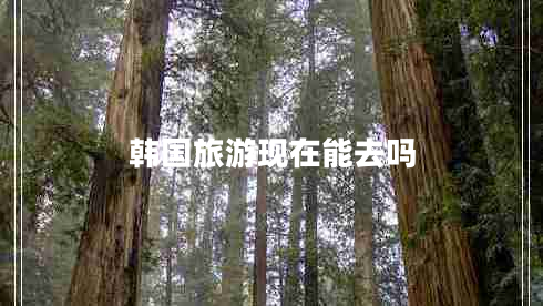 韓國旅游現在能去嗎