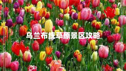 烏蘭布統草原景區攻略