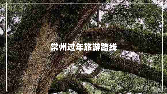 常州過(guò)年旅游路線(xiàn)