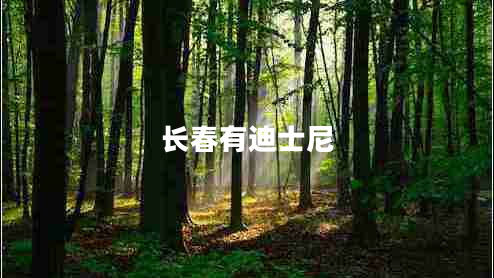 長(cháng)春有迪士尼