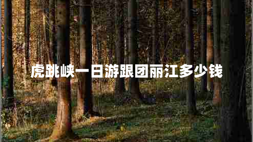 虎跳峽一日游跟團麗江多少錢(qián)