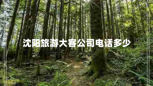 沈陽(yáng)旅游大客公司電話(huà)多少