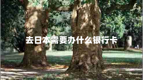 去日本需要辦什么銀行卡