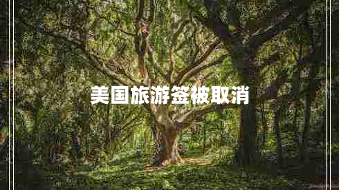 美國旅游簽被取消