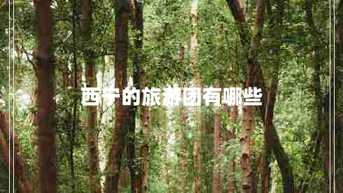 西寧的旅游團有哪些