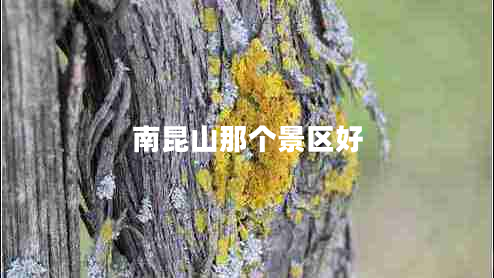 南昆山那個(gè)景區好