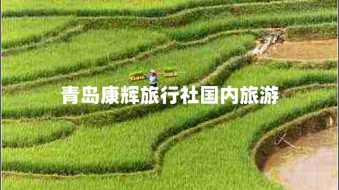 青島康輝旅行社國內旅游
