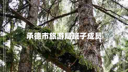 承德市旅游局班子成員