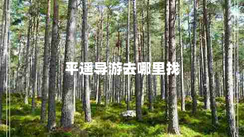 平遙導游去哪里找
