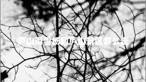 廬山滑雪場(chǎng)到廬山景區怎么走