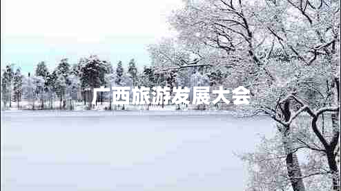 廣西旅游發(fā)展大會(huì )
