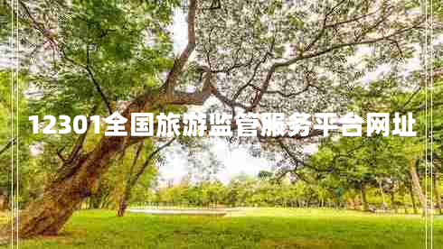 12301全國旅游監管服務(wù)平臺網(wǎng)址