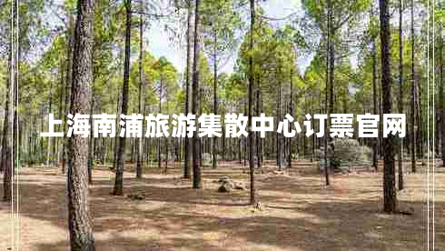 上海南浦旅游集散中心訂票官網(wǎng)