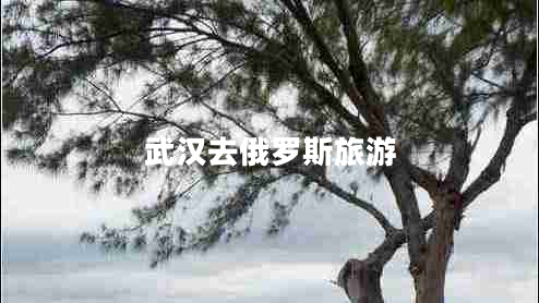 武漢去俄羅斯旅游