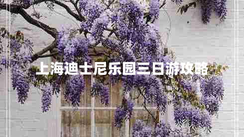 上海迪士尼樂(lè )園三日游攻略