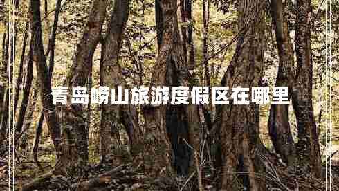 青島嶗山旅游度假區在哪里