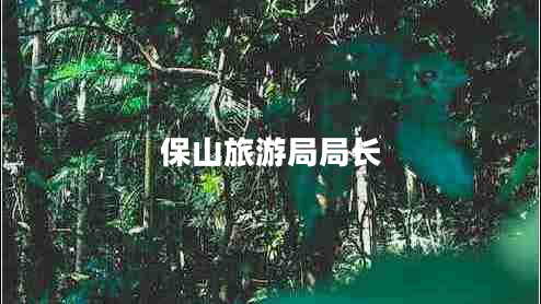 保山旅游局局長(cháng)