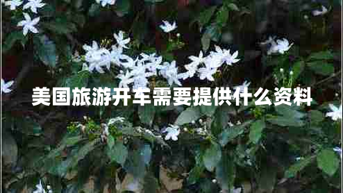 美國旅游開(kāi)車(chē)需要提供什么資料