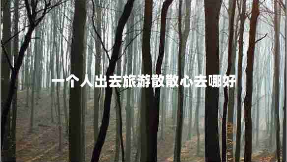 一個(gè)人出去旅游散散心去哪好