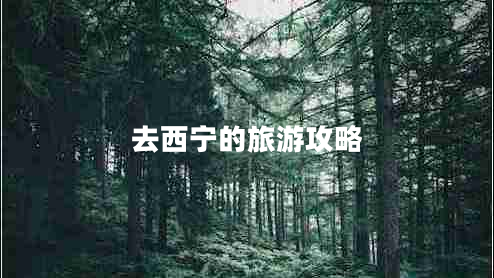 去西寧的旅游攻略