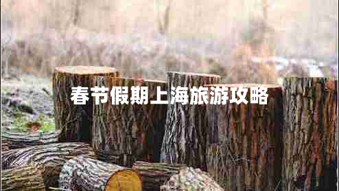 春節假期上海旅游攻略