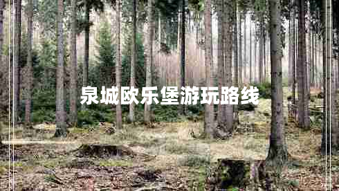 泉城歐樂(lè )堡游玩路線(xiàn)