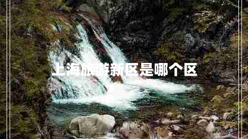 上海旅游新區是哪個(gè)區