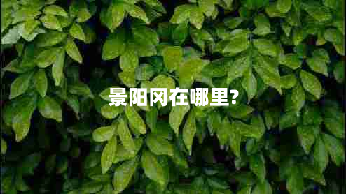 景陽(yáng)岡在哪里?