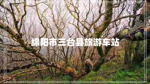 綿陽(yáng)市三臺縣旅游車(chē)站