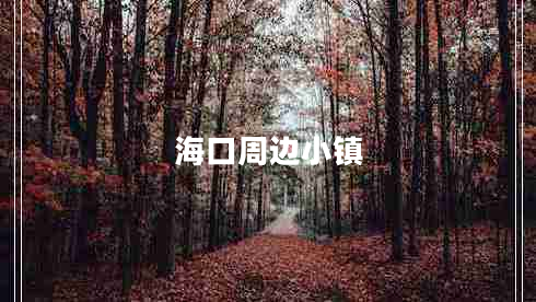 海口周邊小鎮