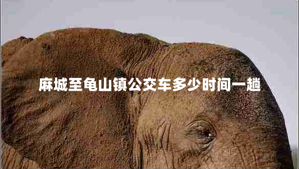 麻城至龜山鎮公交車(chē)多少時(shí)間一趟