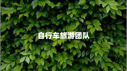 自行車(chē)旅游團隊