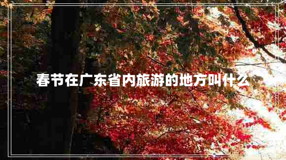 春節在廣東省內旅游的地方叫什么