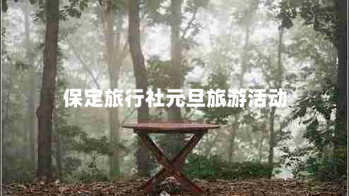 保定旅行社元旦旅游活動(dòng)
