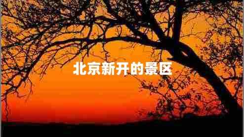 北京新開(kāi)的景區
