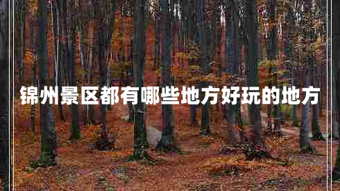 錦州景區都有哪些地方好玩的地方