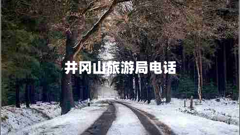 井岡山旅游局電話(huà)