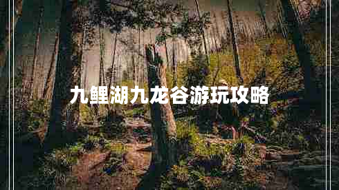 九鯉湖九龍谷游玩攻略