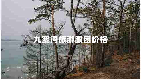 九寨溝旅游跟團價(jià)格