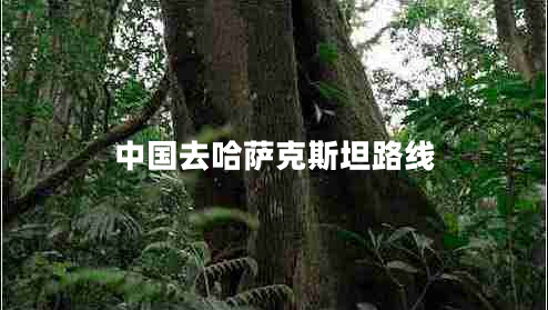 中國去哈薩克斯坦路線(xiàn)